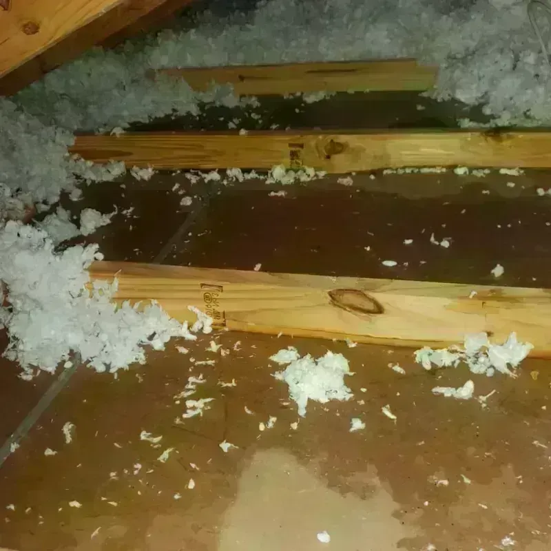 Attic Water Damage in Mineral County, MT