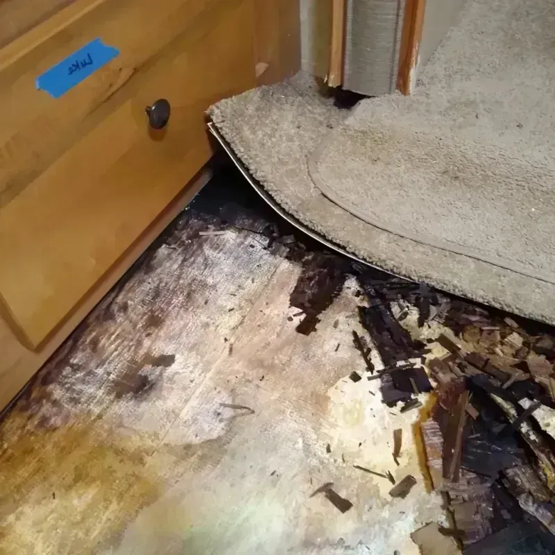 Best Wood Floor Water Damage Service in Mineral County, MT